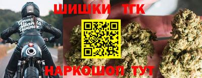 индика Пушкино
